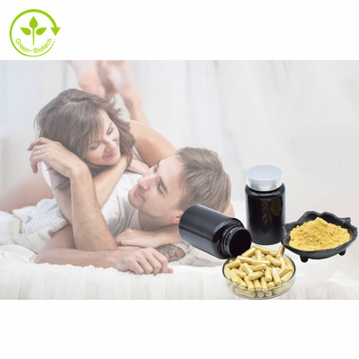 Απόσπασμα σκονών 1% 3% 5% 10% Tongkat Ali καψών 500mg/60caps/Bottle Eurycomanone Tongkat Ali εκχυλισμάτων φυτού