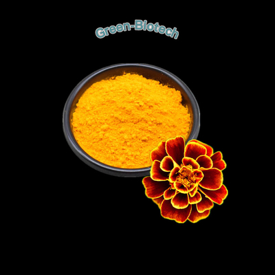 Marigold ανεφοδιασμού εργοστασίων Marigold αποσπασμάτων Marigold σκονών αποσπασμάτων σκόνη