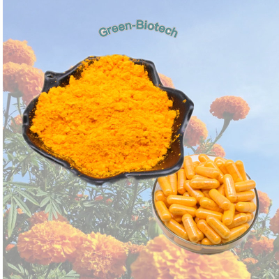 Έξοχο Marigold κατασκευαστών εκχυλισμάτων λουτεΐνης HPLC σκονών 5%-20% λουτεΐνης αποσπασμάτων για την υγεία ματιών
