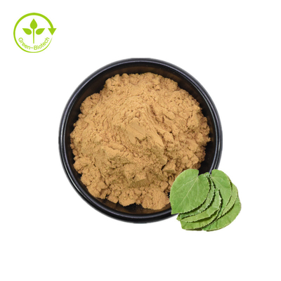 φυσική Epimedium σκόνη αποσπασμάτων Icariin 98% Epimedium αποσπασμάτων 20% 30% Icaritin