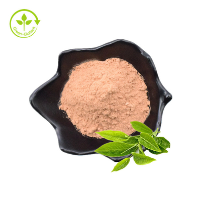 Polyphenols τσαγιού εκχυλισμάτων φύλλων τσαγιού συμπληρωμάτων υγειονομικής περίθαλψης χονδρικής τιμής τιμών εργοστασίων πράσινη σκόνη