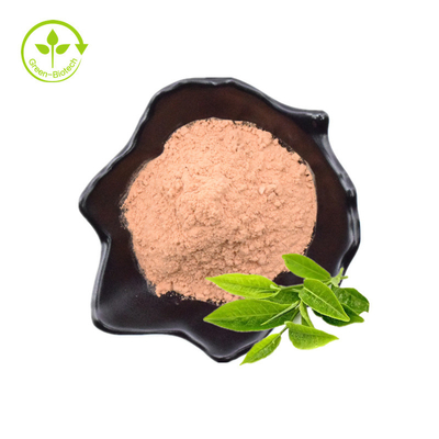 Polyphenol τσαγιού, EGCG, πράσινη σκόνη εκχυλισμάτων τσαγιού