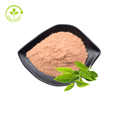Polyphenols 98% αποσπασμάτων φύλλων τσαγιού βαθμού τροφίμων πράσινη Catechin 80% Egcg 60% μαζική σκόνη