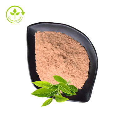 Καθαρά οργανικά πράσινα Polyphenols EGCG τσαγιού σκονών 98% εκχυλισμάτων τσαγιού