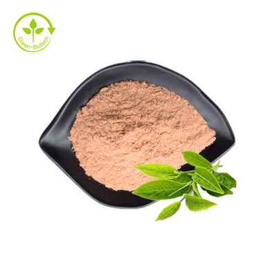 Καθαρά οργανικά πράσινα Polyphenols EGCG τσαγιού σκονών 98% εκχυλισμάτων τσαγιού