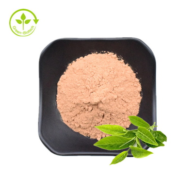 Πράσινα σκόνη εκχυλισμάτων τσαγιού/Polyphenols EGCG Catechins
