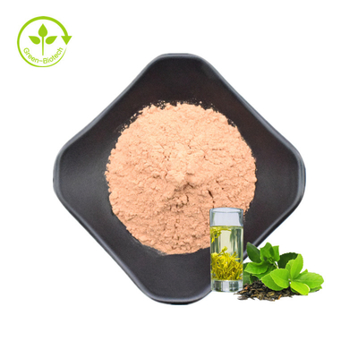 Πράσινα σκόνη εκχυλισμάτων τσαγιού/Polyphenols EGCG Catechins