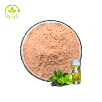 Polyphenol τσαγιού οι κατασκευαστές παρέχουν καυτό πωλώντας πράσινο Polyphenol εκχυλισμάτων τσαγιού Polyphenol τσαγιού σκονών 90%