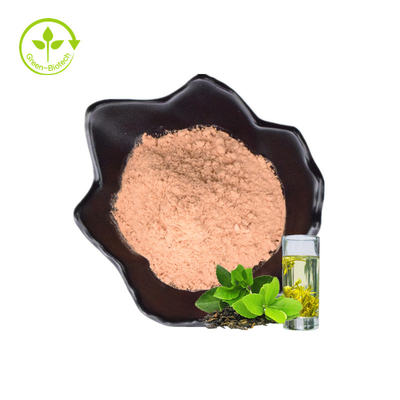 Polyphenols τσαγιού εκχυλισμάτων 98% τσαγιού τιμών εργοστασίων ανεφοδιασμού πράσινη σκόνη σε μεγάλη ποσότητα