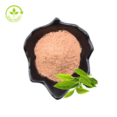 Μειώστε Polyphenols τσαγιού εκχυλισμάτων 40% τσαγιού αίματος την παχιά πράσινη σκόνη