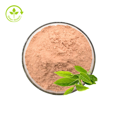 Πράσινη Polyphenols 50% 98% εκχυλισμάτων τσαγιού πράσινη σκόνη εκχυλισμάτων τσαγιού