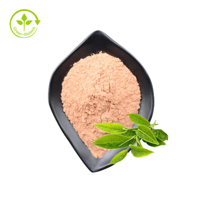 Πράσινη Polyphenols 50% 98% εκχυλισμάτων τσαγιού πράσινη σκόνη εκχυλισμάτων τσαγιού