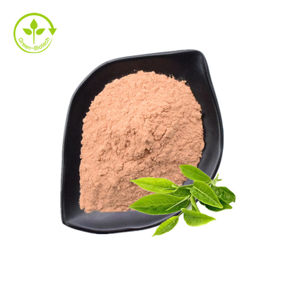 Polyphenol τσαγιού, EGCG, πράσινη σκόνη εκχυλισμάτων τσαγιού