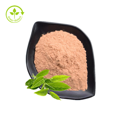 Polyphenol τσαγιού, EGCG, πράσινη σκόνη εκχυλισμάτων τσαγιού