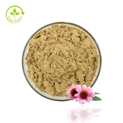 Υψηλής ποιότητας εκχύλισμα Echinacea σε σκόνη Echinacea Purpurea Extract 4% Polyphenol Powder