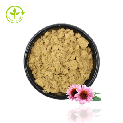 Υψηλής ποιότητας εκχύλισμα Echinacea σε σκόνη Echinacea Purpurea Extract 4% Polyphenol Powder