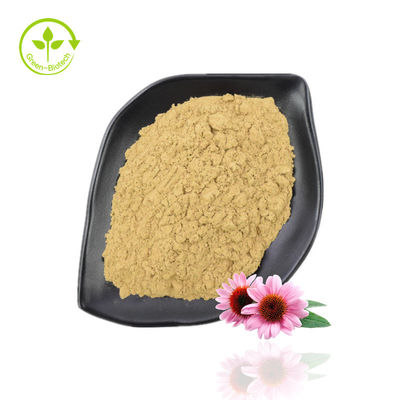 Εκχύλισμα Echinacea Purpurea σε σκόνη υψηλής καθαρότητας 10%-40% Echinacoside