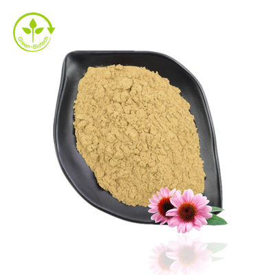 Εκχύλισμα Echinacea Purpurea σε σκόνη υψηλής καθαρότητας 10%-40% Echinacoside
