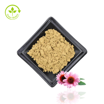 Προμήθεια εκχύλισμα Echinacea Purpurea Εκχύλισμα Echinacea Φυσικό Εκχύλισμα λουλουδιών Echinacea Purpurea 4% Πολυφαινόλες