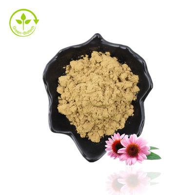 Φυσικό εκχύλισμα Echinacea Purpurea/Echinacea Extract Powder
