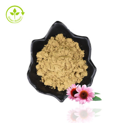 Φυσικό εκχύλισμα Echinacea Purpurea/Echinacea Extract Powder