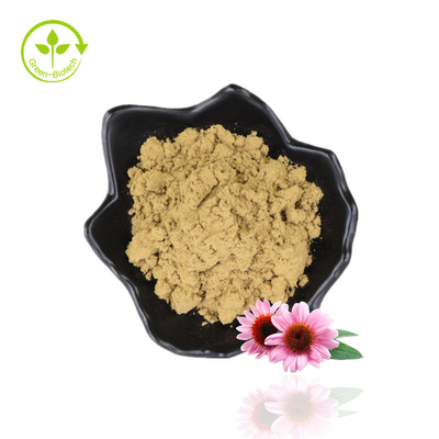 Εκχύλισμα χύμα πολυφαινόλης 4% Echinacea Purpurea σε σκόνη Εκχύλισμα πορφυρού κωνοφόρων