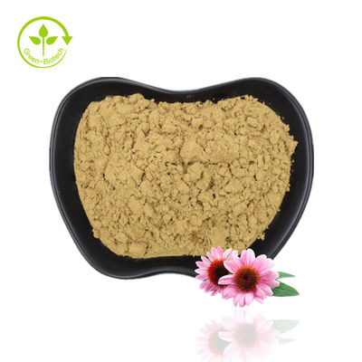 Factory Supply Echinacea Powder Echinacea Purpurea Extract Echinacea Extract With High Quality