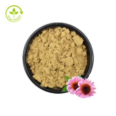 Εκχύλισμα Echinacea/Echinacea Purpurea Extract In Bulk/Echinacea Extract 4% Polyphenols