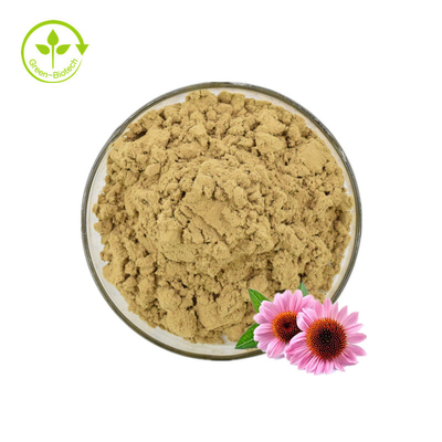 Εκχύλισμα Echinacea/Echinacea Purpurea Extract In Bulk/Echinacea Extract 4% Polyphenols