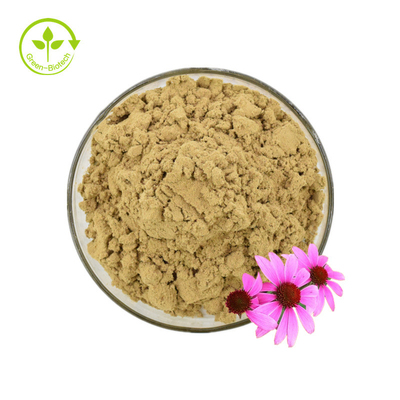 Πιστοποιητικό Iso 100% Φυσικό Εκχύλισμα Echinacea Echinacea Purpurea Extract 10% Polyphenol
