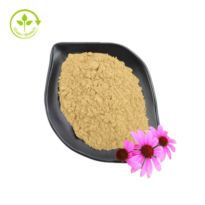 Προμήθεια Καλού βαθμού εκχύλισμα Echinacea Purpurea Συμπλήρωμα υγειονομικής περίθαλψης Εκχύλισμα Echinacea Purpurea