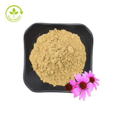 Εκχύλισμα ρίζας Echinacea Purpurea υψηλής ποιότητας 10% Πολυφαινόλες Εκχύλισμα Echinacea Purpurea Extract Echinacea