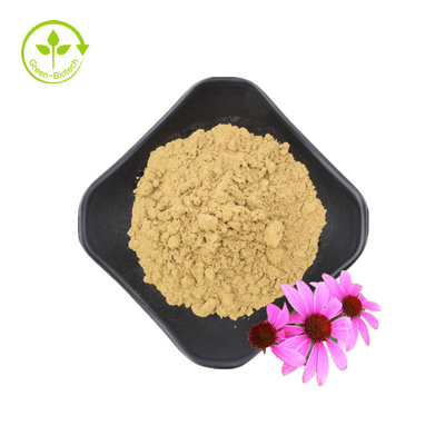 Εκχύλισμα ρίζας Echinacea Purpurea υψηλής ποιότητας 10% Πολυφαινόλες Εκχύλισμα Echinacea Purpurea Extract Echinacea