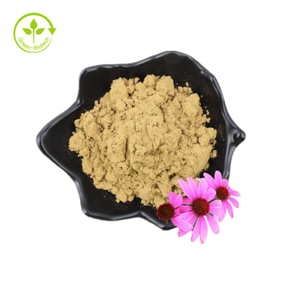 Καθαρό 4% Κικορικό Οξύ Echinacea Purpurea Flower Extract σε σκόνη Εκχύλισμα Echinacea Purpurea