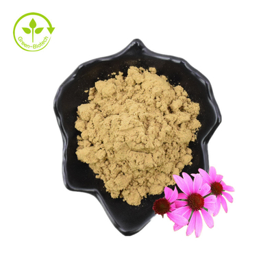 Καθαρό 4% Κικορικό Οξύ Echinacea Purpurea Flower Extract σε σκόνη Εκχύλισμα Echinacea Purpurea