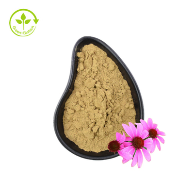 Οργανικό εκχύλισμα Echinacea Purpurea Εκχύλισμα ρίζας Echinacea
