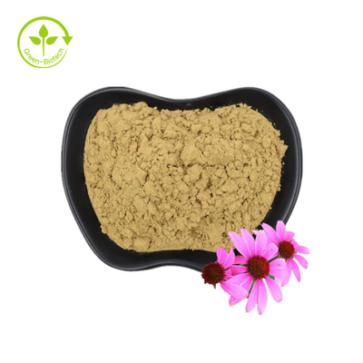 Οργανικό εκχύλισμα Echinacea Purpurea Εκχύλισμα ρίζας Echinacea