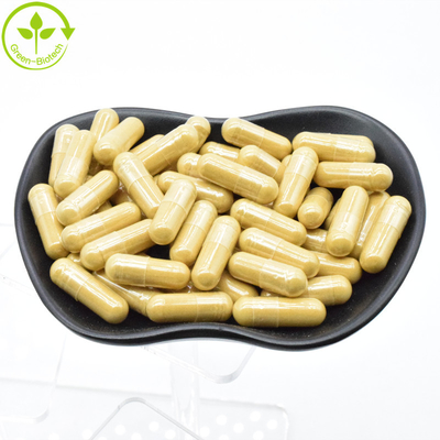 Φαρμακευτική προμήθεια Ginseng Root Powder Panax Ginseng Extract 20:1 Γινσενοσίδη 80%