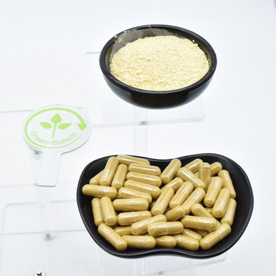 Φυσικό άγριο φυτό Ξηρή ρίζα λευκού ginseng εκχύλισμα πρότυπο ποιότητας της ΕΕ ρίζα ginseng