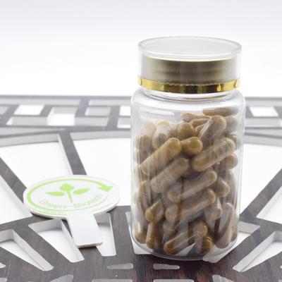 Φαρμακευτική προμήθεια Ginseng Root Powder Panax Ginseng Extract 20:1 Γινσενοσίδη 80%
