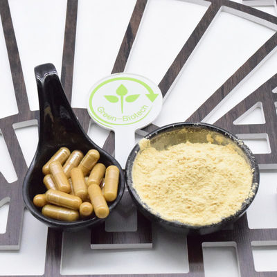 Ξηρή ρίζα κόκκινου τζίνσενγκ μικρές φέτες ολόκληρη ρίζα κόκκινου τζίνσενγκ 8 χρόνια