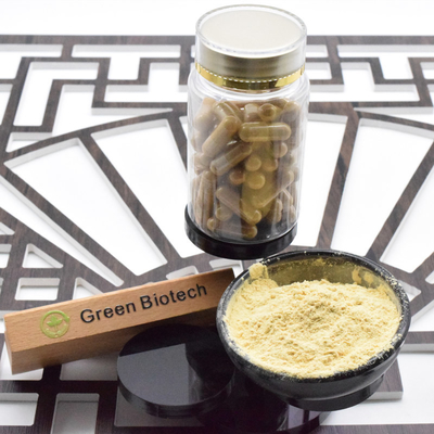 Δωρεάν δείγμα Οργανικό Ginkgo Biloba Κάψουλα Εκχύλισμα υγρό Ginkgo Biloba Γινσένγκ