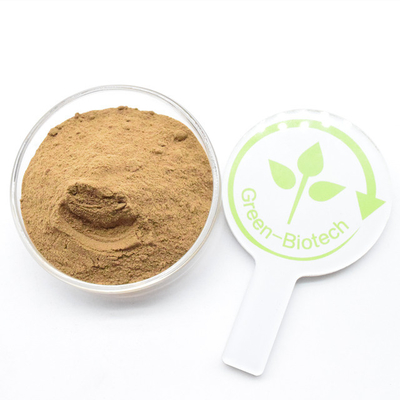 Χονδρικό κίτρινο καφέ Dendrobium Nobile Extract Powder 20:1 σε χύδη
