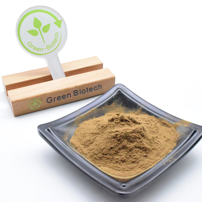 Φαρμακευτική προμήθεια Dendrobium Officinale Extract Συγκεντρωμένο Dendrobium Candidum Extract Powder