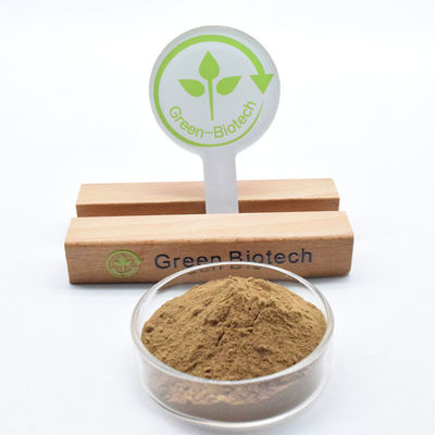 Υψηλής ποιότητας χύδην καθαρό φυσικό εκχύλισμα dendrobium σκόνη dendrobine