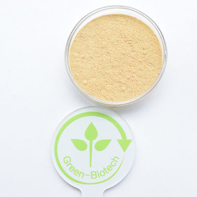 HPLC 90% Cyanotis Arachnoidea Extract Beta Ecdysterone Powder Hydroxyecdysone Οξυοξυοξυόλη