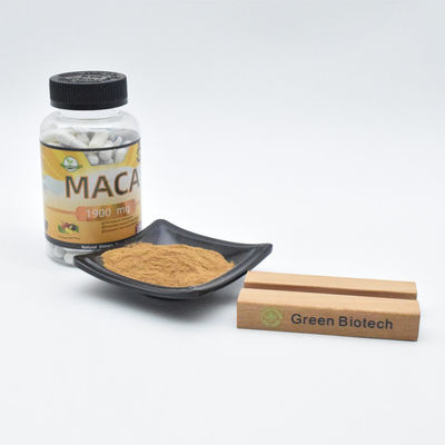 Η απευθείας πώληση από το εργοστάσιο της Μακά βελτιώνει τη λειτουργία των ανδρών