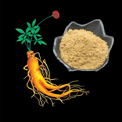 80 σκόνη 1%-80% αποσπασμάτων ρίζας Ginseng πλέγματος φυσικά εκχυλίσματα φυτού