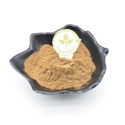 Απόσπασμα Bodybuilding 2% Ajuga Turkest